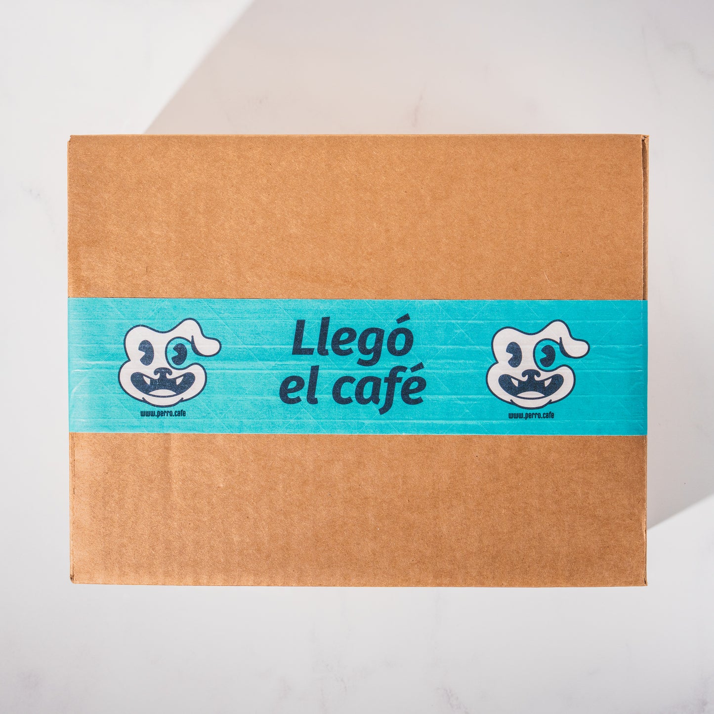 La Caja Catadora del Perro